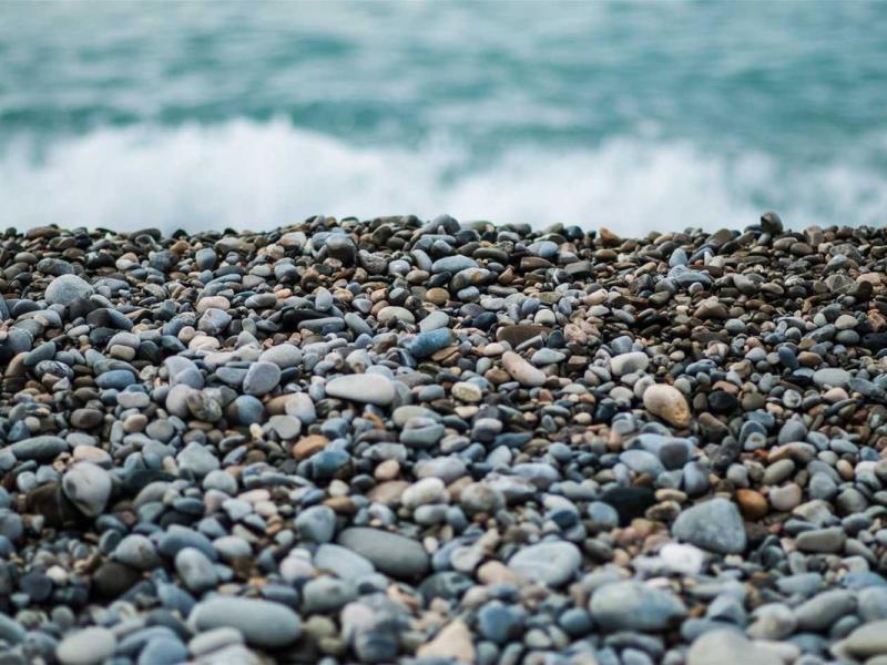 Elementum phasellus neque auctor habitasse consequat platea condimentum semper ut vivamus integer per