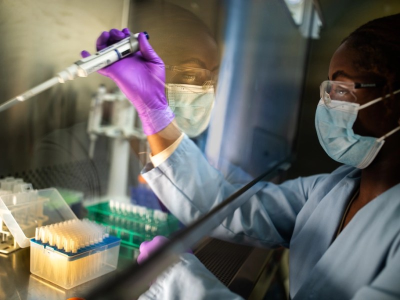 Study Links Gut Microbiome Diversity to Reduced Cognitive Decline in Adults Over 60